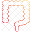 Intestine  Icon