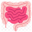 Intestine  Icon