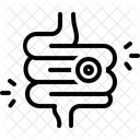 Intestine sickness  Icon
