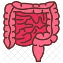 Intestines Small Intestine Large Intestine Icon