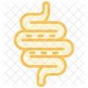 Intestines Duotone Line Icon Icon