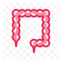 Intestines Human Intestines Digestive System Icon