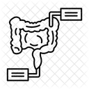 Intestines Icon