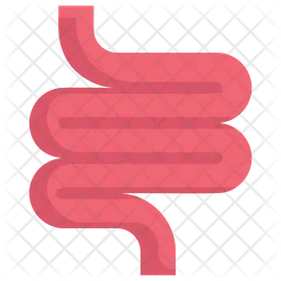 Intestines  Icon