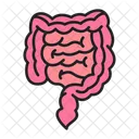 Intestines Gastroenterology Organ Icon