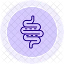 Intestines Line Icon Icon