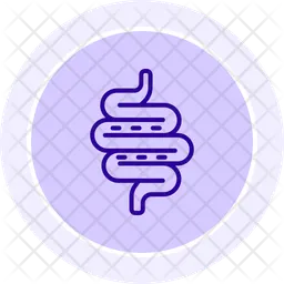 Intestines  Icon