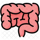 Intestines Abdomen Bowel Icon