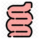 Intestinos  Icono