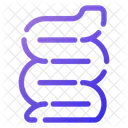 Intestins  Icône
