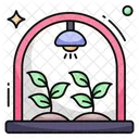 Invernadero  Icon