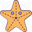 Invertebrate Starfish Asteroidea Icon