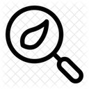Buscar Lupa Eco Icon