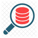 Investigate Data Search Data Icon