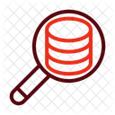 Investigate Data Search Data Icon