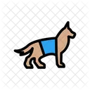Dog Investigation Perro Icon