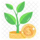 Money Plant Investment Growth Money Growth Icon