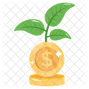 Money Plant Investment Growth Money Growth Icon