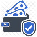 Insurance Investment Protection Icon