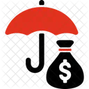 Investment Insurance Insurance Investment Icon
