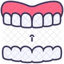 Orthodontics Invisalign Teeth Icon