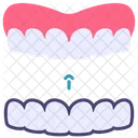 Orthodontics Invisalign Teeth Icon