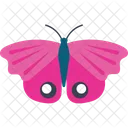 Io Moth Fly Insect Icon