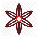 Ipheion Dianthus Sakura Icon