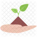 Mao Terra Broto Ícone