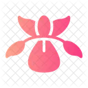 Iris Botanical Blossom Icon