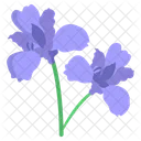 Iris Flower Blossom Icon