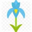 Iris Icon
