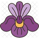 Iris  Icon