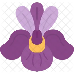 Iris  Icon