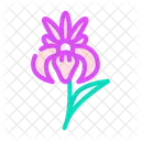 Iris Blume  Symbol