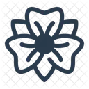 Irisblute Blume Fruhling Symbol