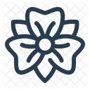 Irisblute Blume Fruhling Symbol