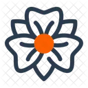 Irisblute Blume Fruhling Symbol