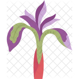 Iris Flower  Icon
