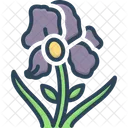 Iris Flowers  Icon
