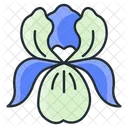 Iris  Icon