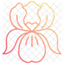Iris Eye Flower Icon