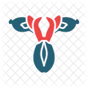 Iris Eye Flower Icon