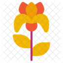 Iris Eye Flower Icon