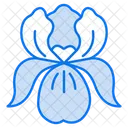Iris Eye Flower Icon