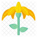 Iris Pseudacorus  Icon
