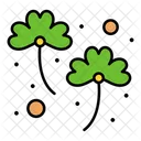 Irish Clover  Icon