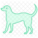 Irishwolfhound Irish Wolfhound Dog Icon