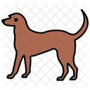 Irish Wolfhound Dog Breed Icon