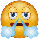 Emoji Rosto Emocao Ícone